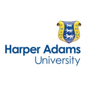 untitled design (90)